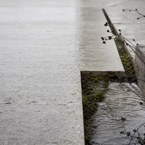 Wet pale limestone with shallow silver reflections and fine porous grain.