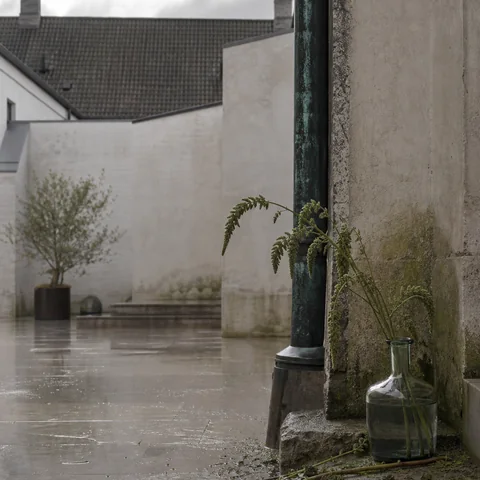 Rain-cooled air over oxidized metal, wet stems and pale courtyard stone.